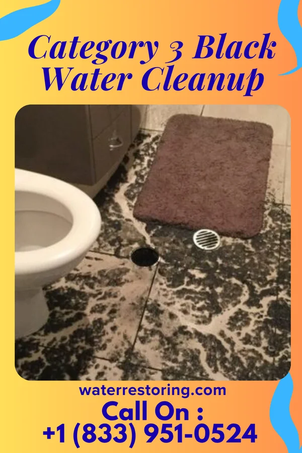 Category 3 Black Water Cleanup in Sleepy Hollow, WY