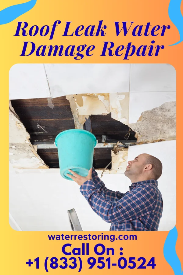 Roof Leak Water Damage Repair in Sleepy Hollow, WY