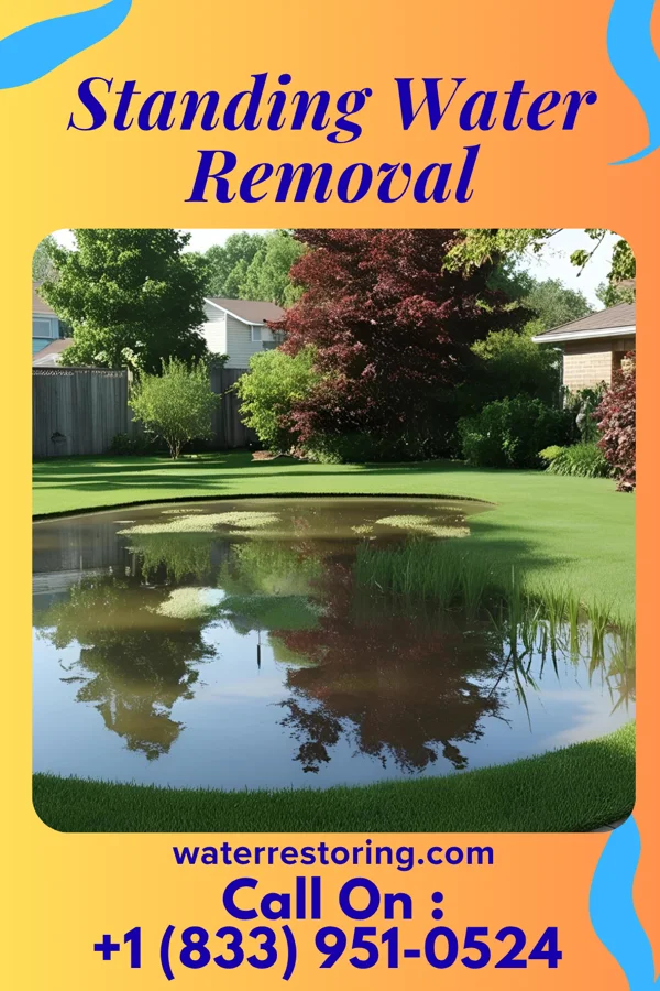 Standing Water Removal in Sleepy Hollow, WY